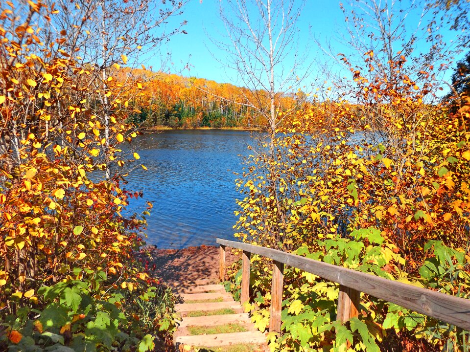 Nature landscape staircase photo