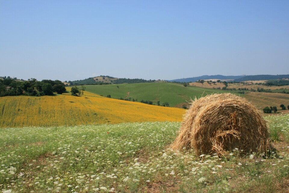 Green summer italy