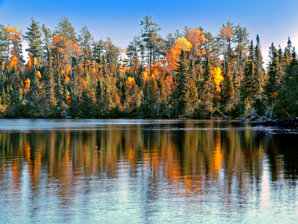 Nature fall landscape
