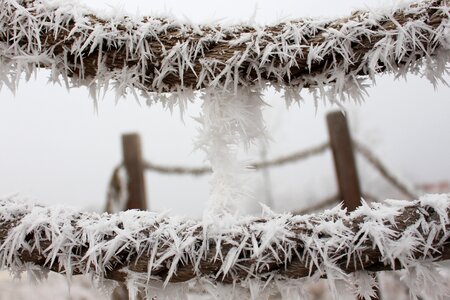 Snow cold frosty photo