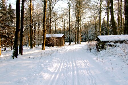 Resin trail snowy