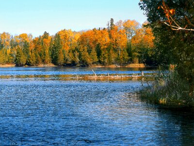 Fall scenery water photo