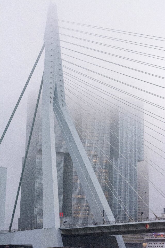 Erasmus bridge swan river crossing