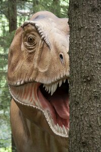 Dinosaur carnivores replica photo