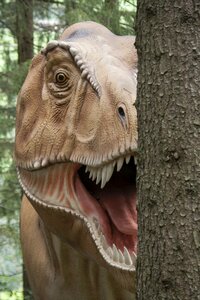 Dinosaur carnivores replica
