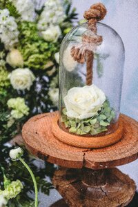 Hydrangea bottles hemp rope