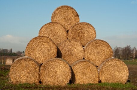 Agriculture hay harvest