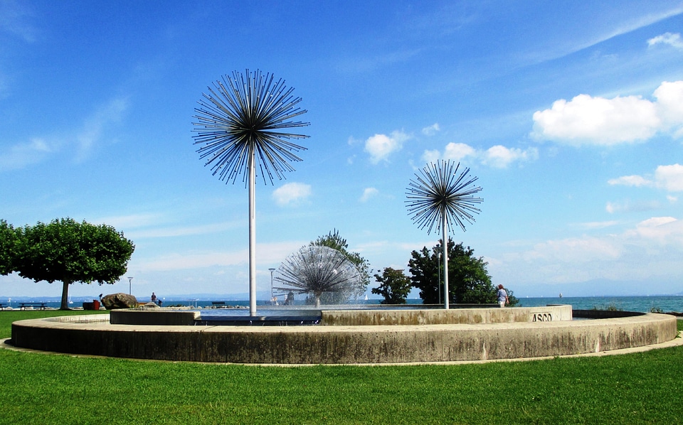 Water grass trees
