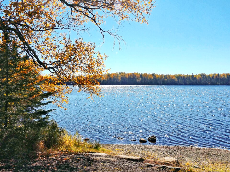 Wilderness serenity peace