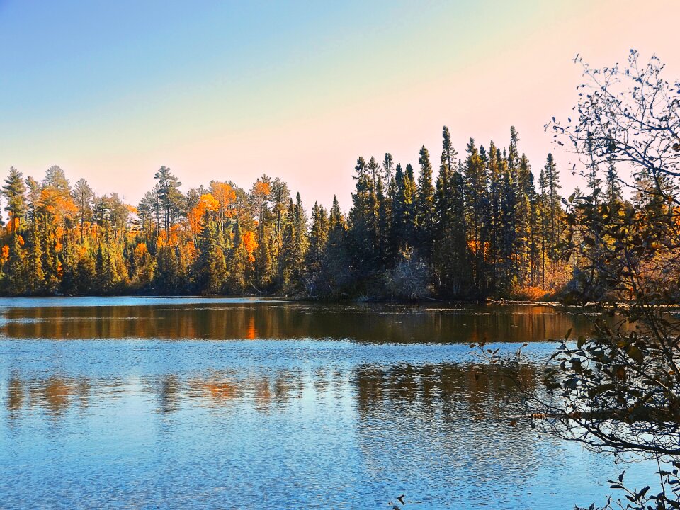 Forest landscape reflection photo