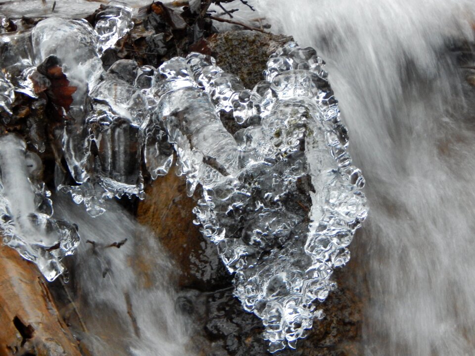 Winter frost frozen