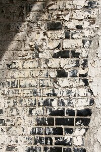 Trail aging well antiquity