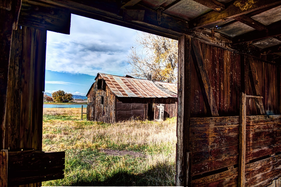 Box car cabin boxelder