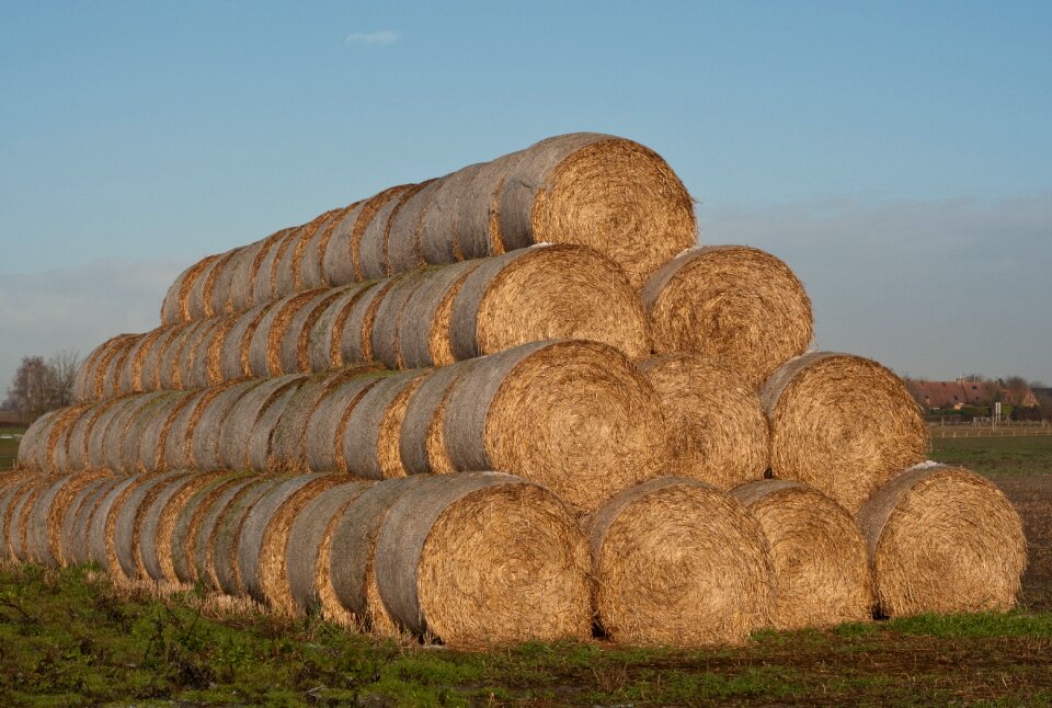 Agriculture hay harvest