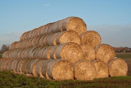 Agriculture hay harvest