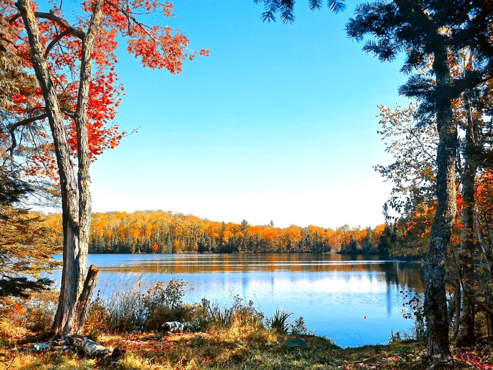 Wilderness serenity peace