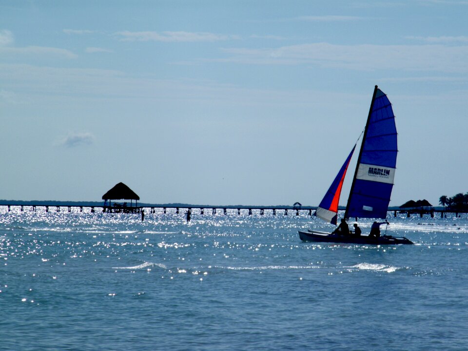 Sea caribbean sailboat
