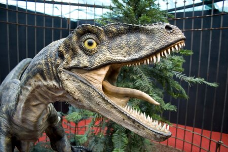 Velociraptor raptors dinosaur