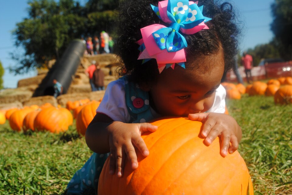 Pumpkin autumn halloween