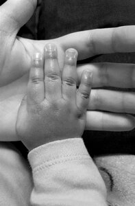 Parent hand parenthood photo