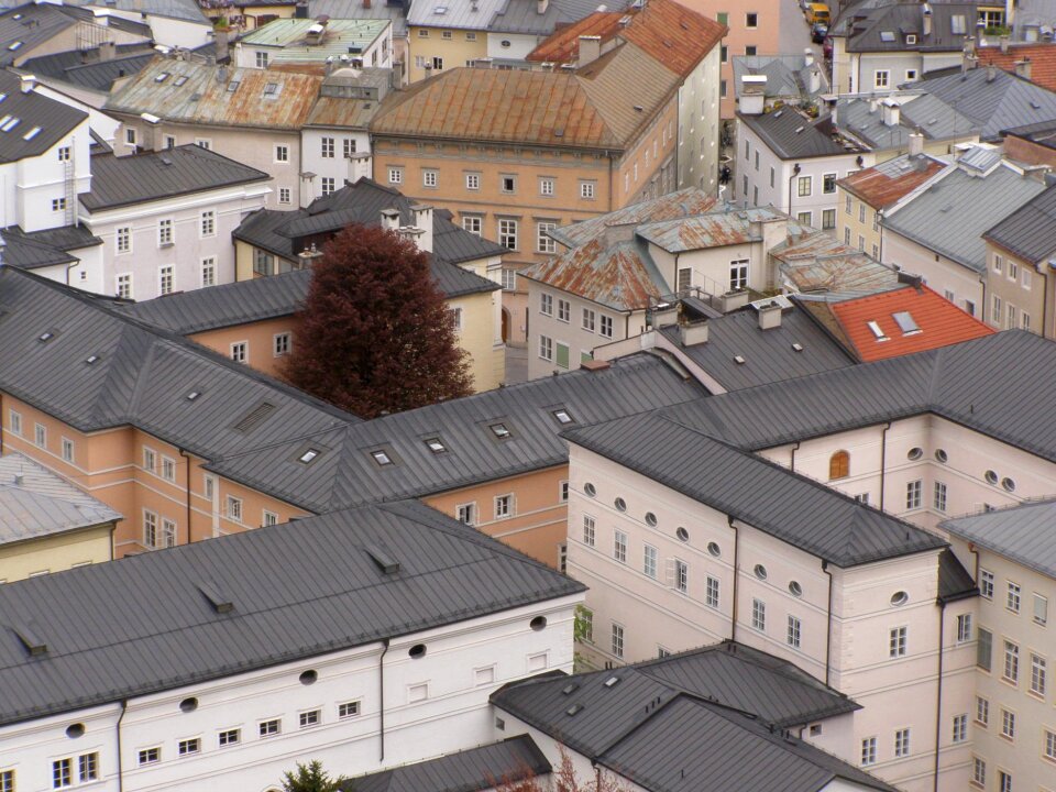 Tree salzburg city from above