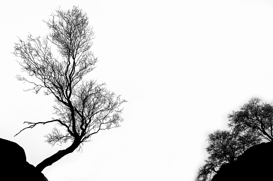 Isolated outline white
