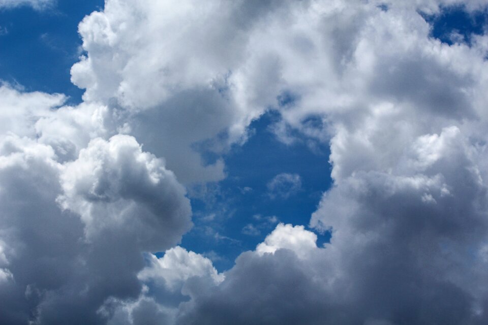 Nature blue summer