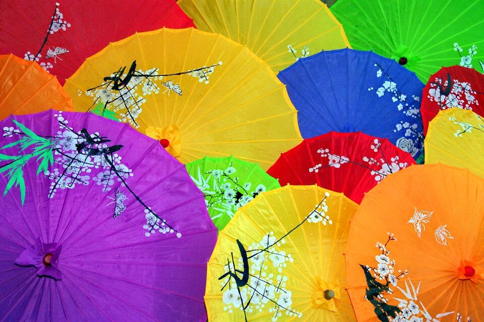 Asian umbrella asia shade tree