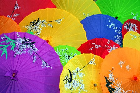 Asian umbrella asia shade tree