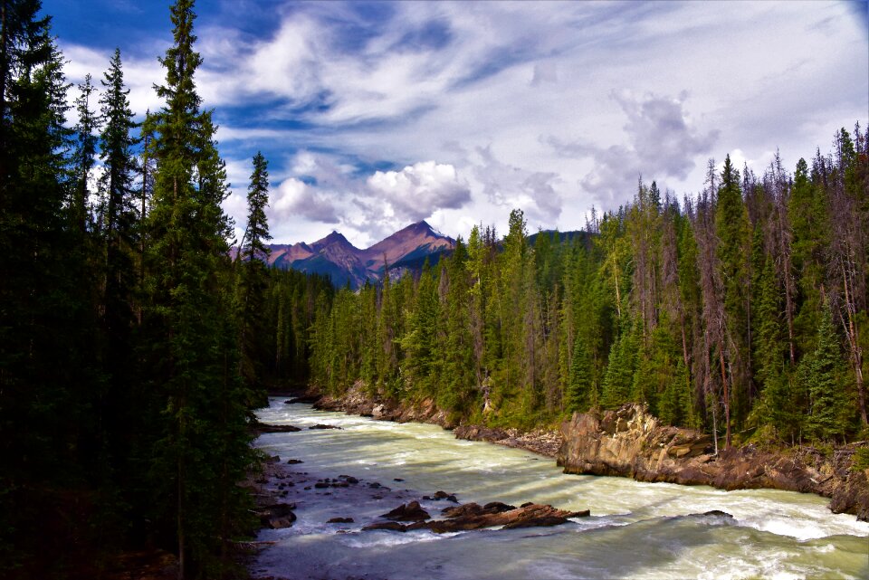 Creek the scenery natural