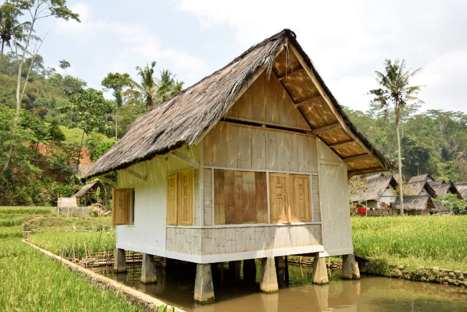 Home landscape architecture