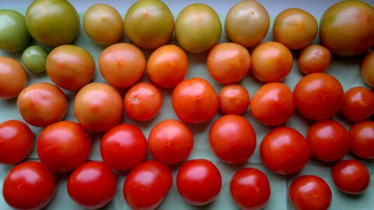 Vegetables food vegetarian photo