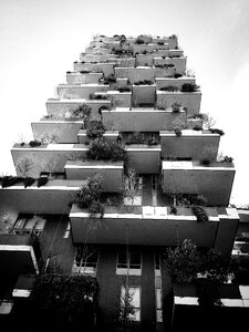Garibaldi vertical garden palazzo