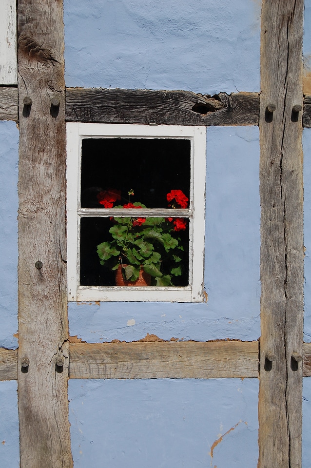 Building house architecture