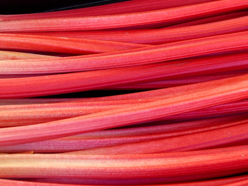 Texture rhubarb red color