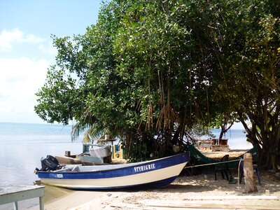 Tropical travel coast