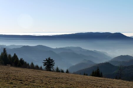 Black forest fog landscape