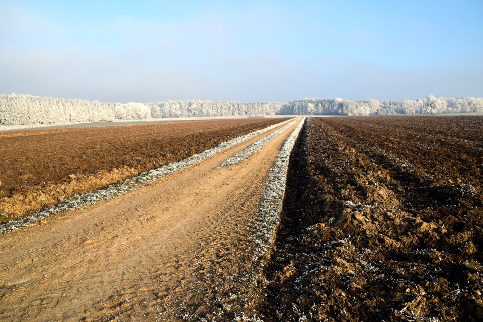 Nature landscape way field