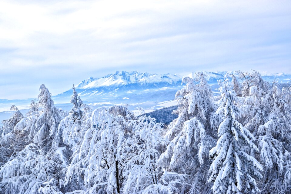 The alps winter slovakia photo