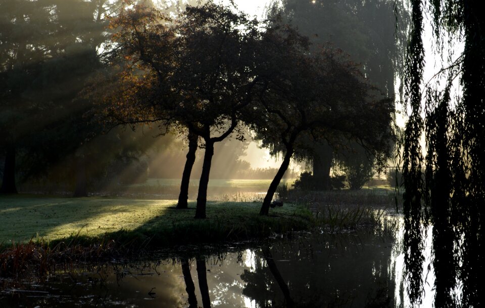 Mist sun rays more