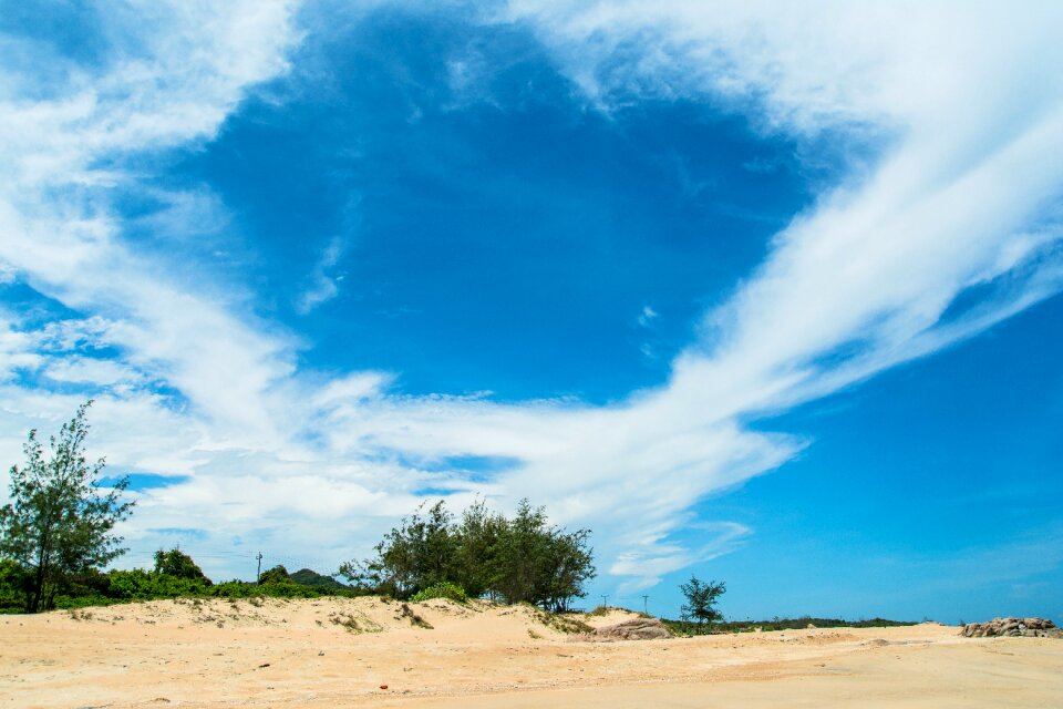 White cloud blue skies small shrubs
