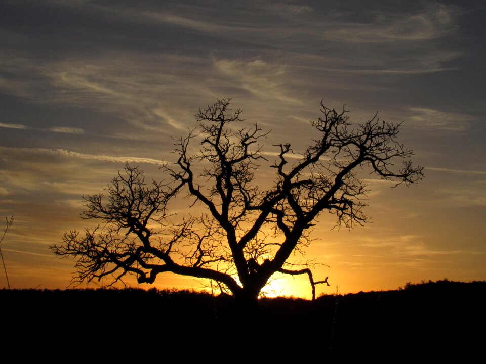 Landscape sky sun