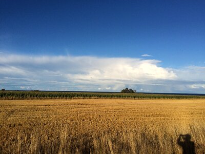 Field sädesåker nature