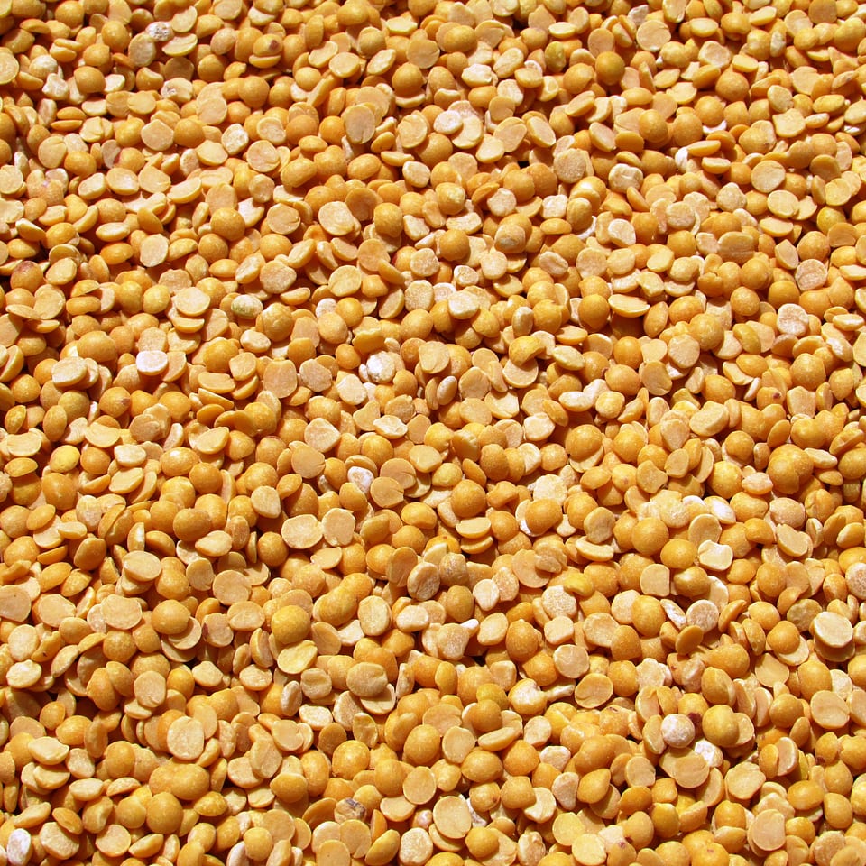Crop harvested agriculture