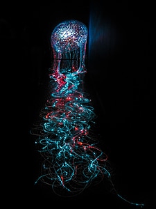 Octopus light lighting
