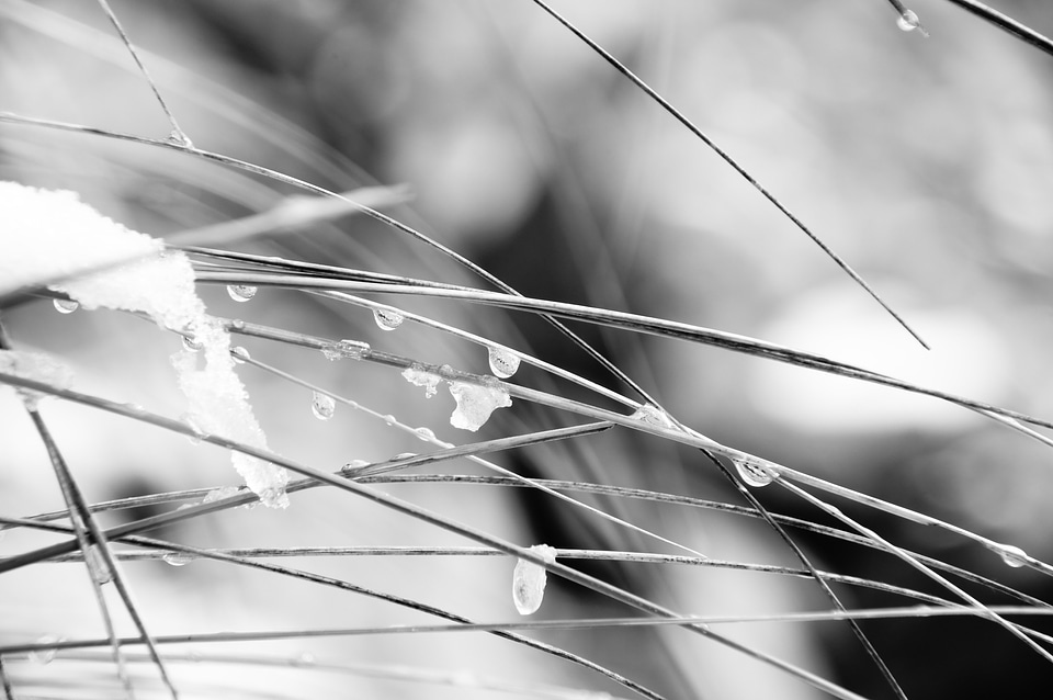 Frost drip water