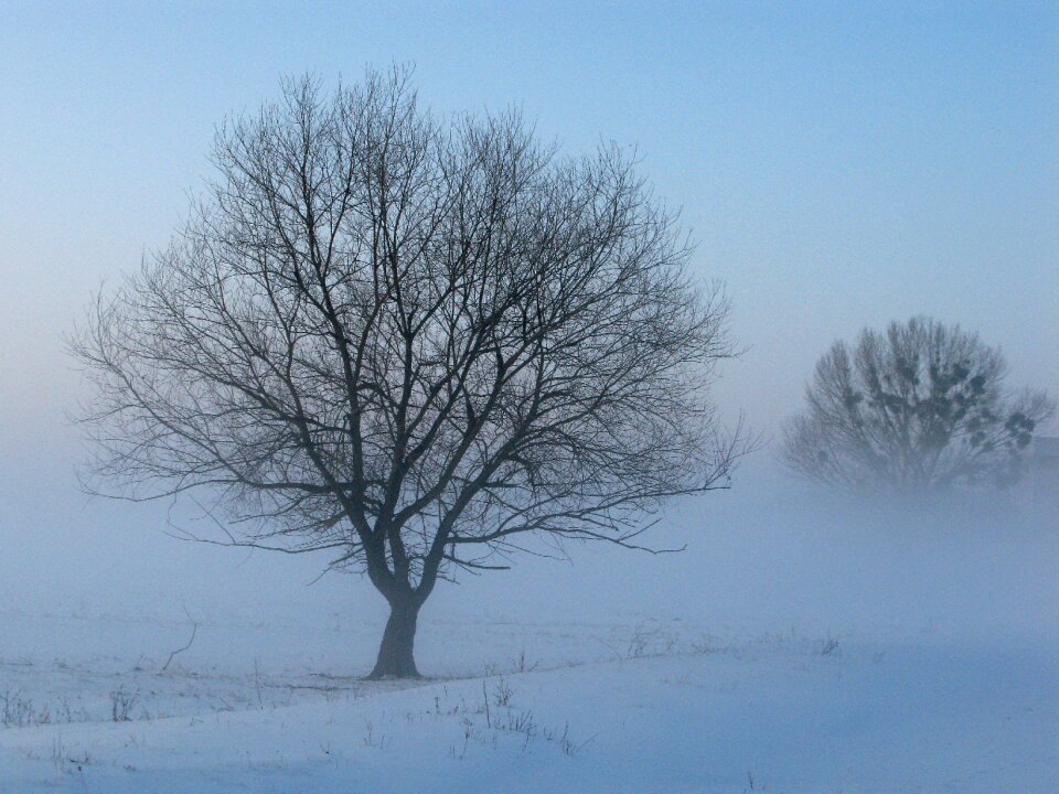 Winter fog mysterious