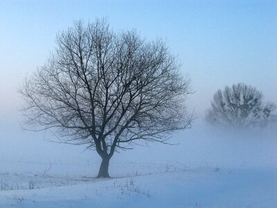 Winter fog mysterious