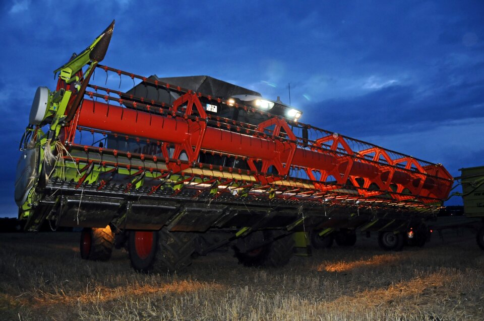 Cereals grain harvest harvest time