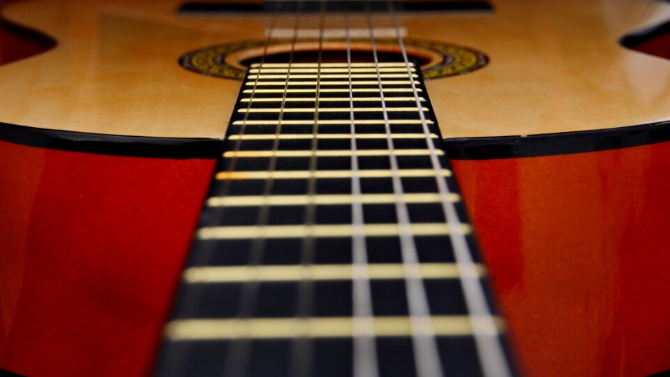 Music musical instrument stringed instrument